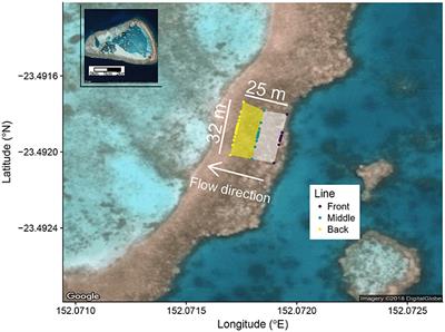 Carbon Isotopic Fractionation in Organic Matter Production Consistent With Benthic Community Composition Across a Coral Reef Flat